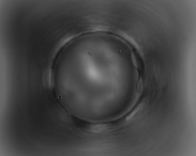 X0000095681171200801081223