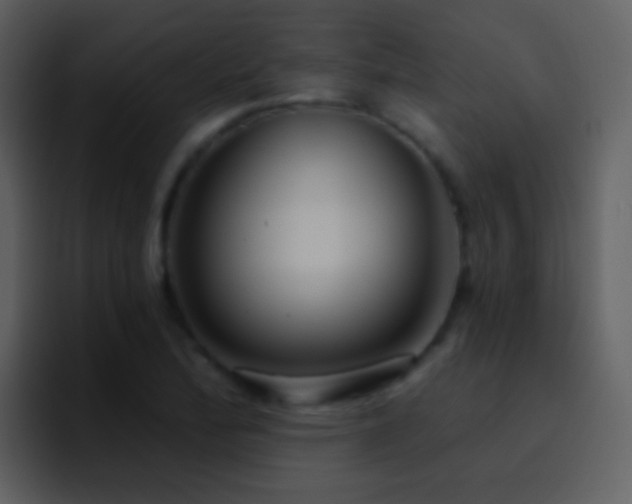 X0000095681172200801081223