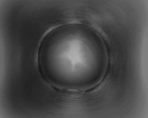 X0000095681174200801081223