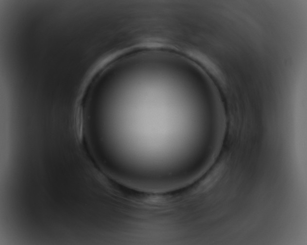 X0000095681175200801081223