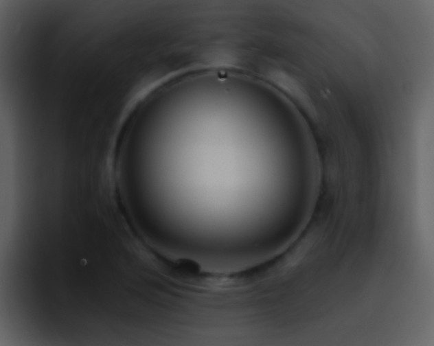 X0000095681176200801081223