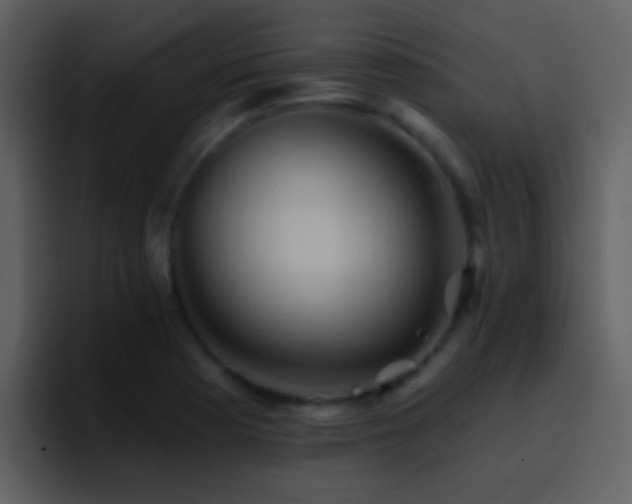 X0000095681177200801081223