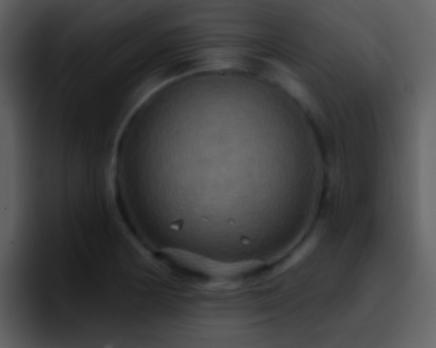 X0000095681178200801081223