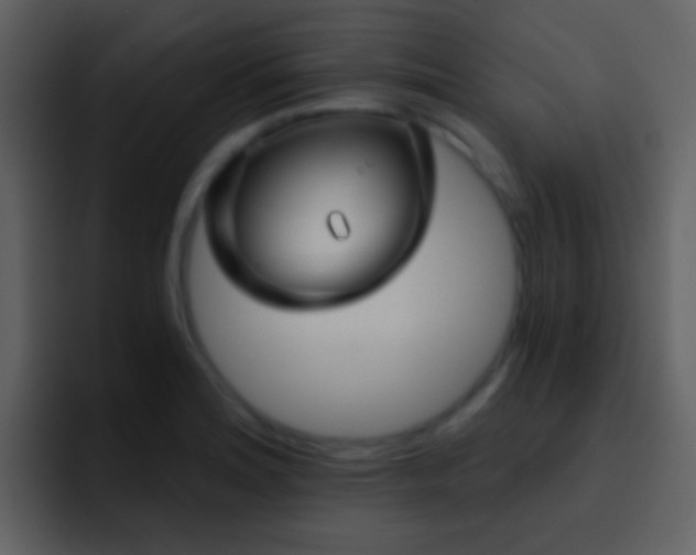 X0000095681180200801081223