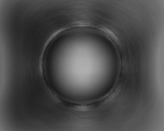 X0000095681182200801081223
