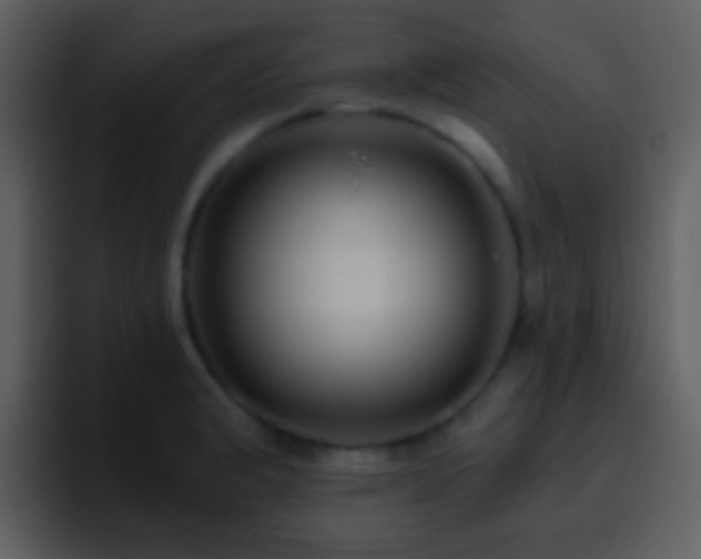X0000095681183200801081223