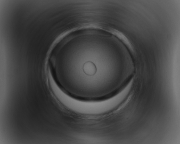 X0000095681184200801081223