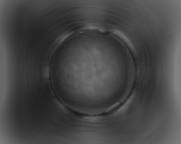 X0000095681185200801081223