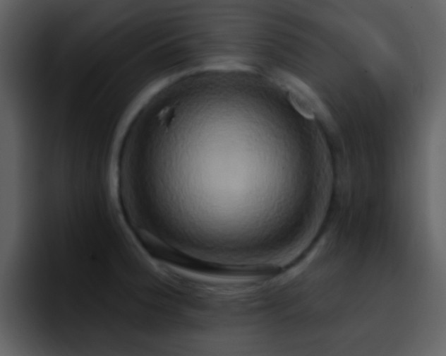 X0000095681188200801081223