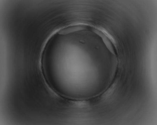 X0000095681189200801081223