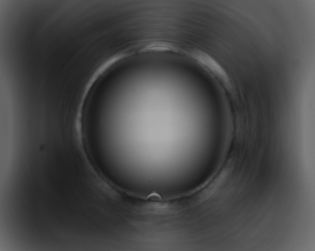 X0000095681190200801081223
