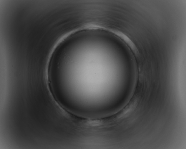X0000095681191200801081223