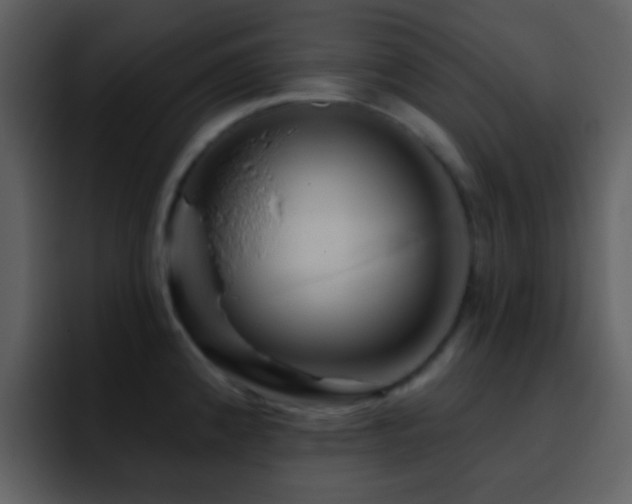 X0000095681192200801081223