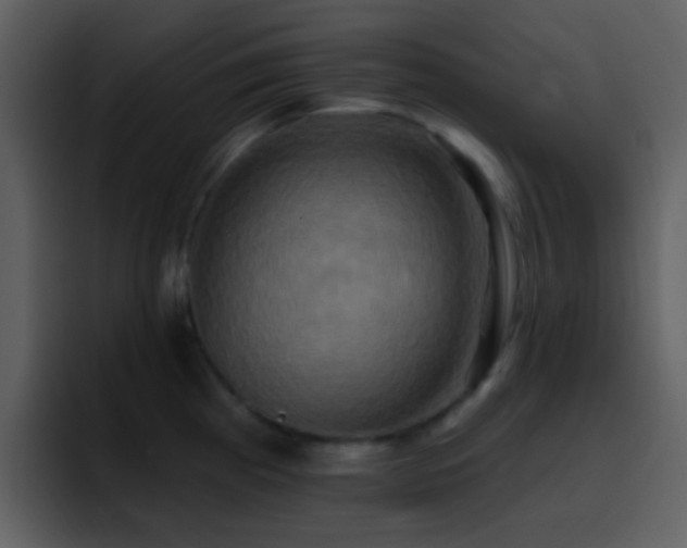 X0000095681193200801081223