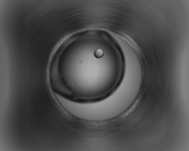 X0000095681196200801081222