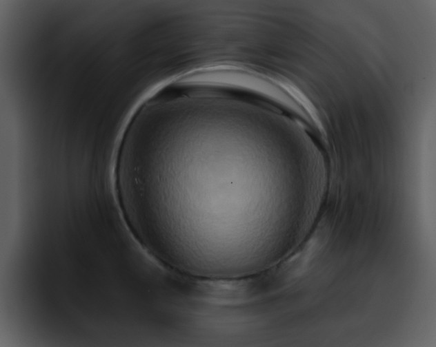 X0000095681197200801081222