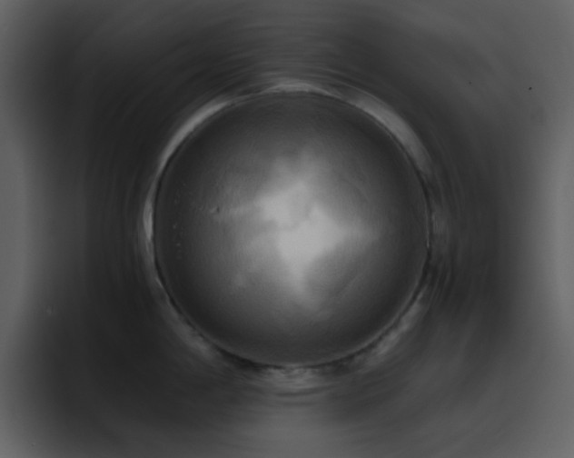 X0000095681198200801081222