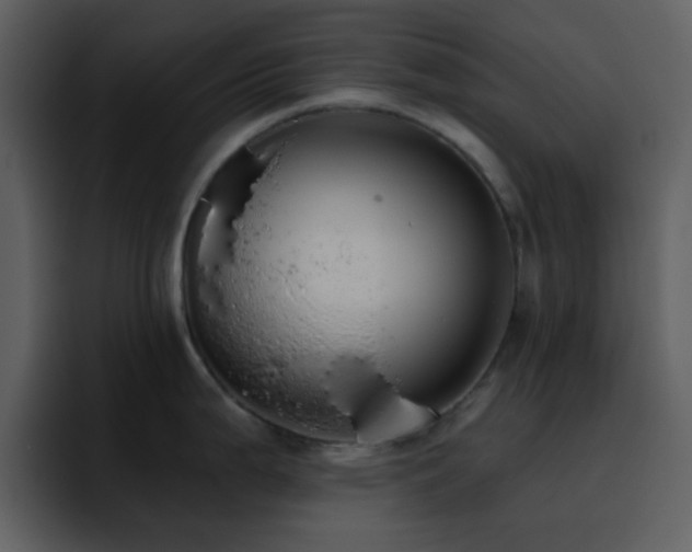 X0000095681199200801081222