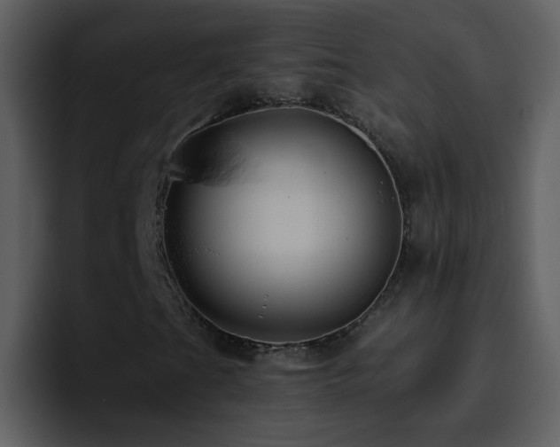 X0000095681201200801081222