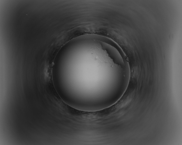 X0000095681202200801081222