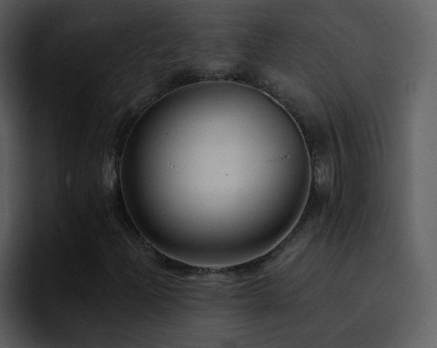X0000095681204200801081222