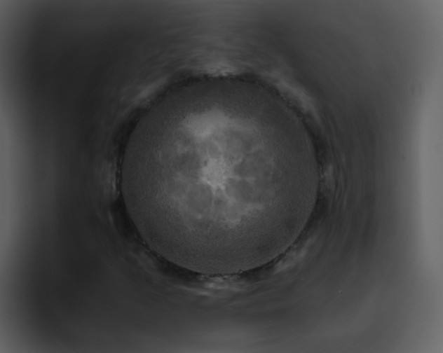 X0000095681205200801081222