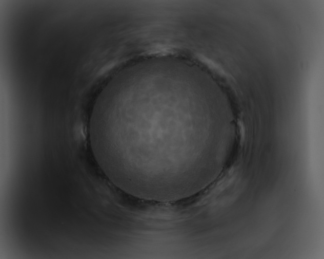 X0000095681206200801081222