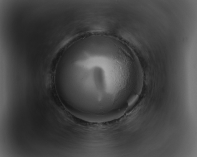 X0000095681208200801081222