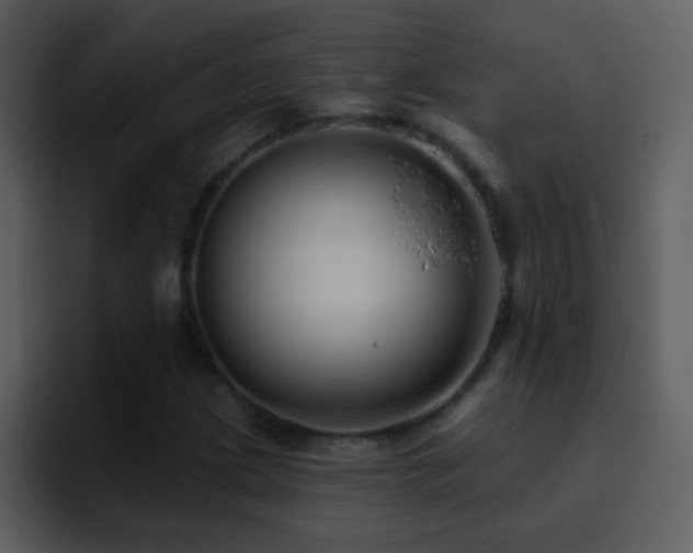 X0000095681209200801081222