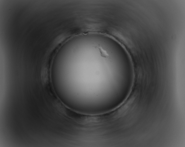 X0000095681211200801081222