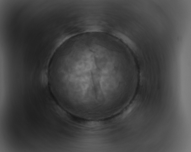 X0000095681212200801081222