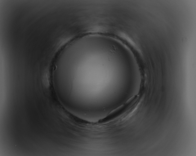 X0000095681213200801081222