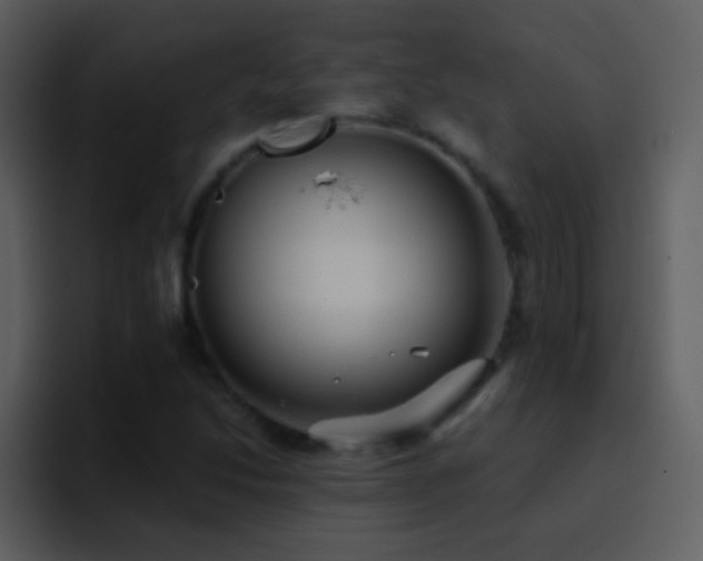 X0000095681214200801081222