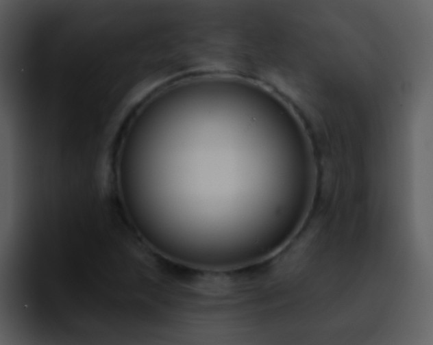 X0000095681215200801081222