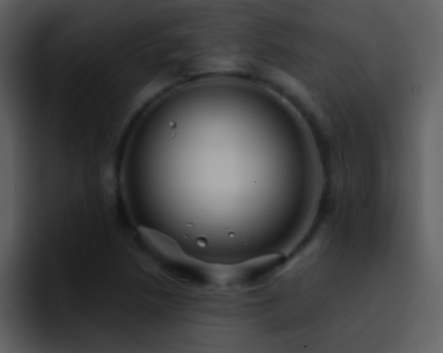 X0000095681218200801081222