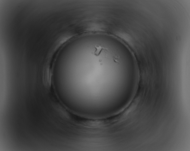 X0000095681219200801081222