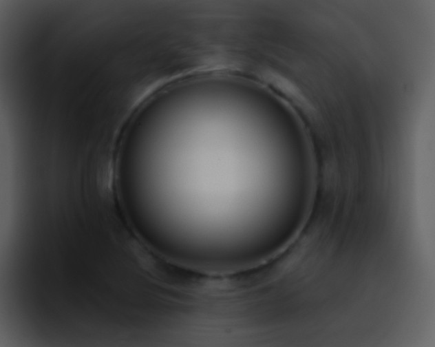 X0000095681220200801081222