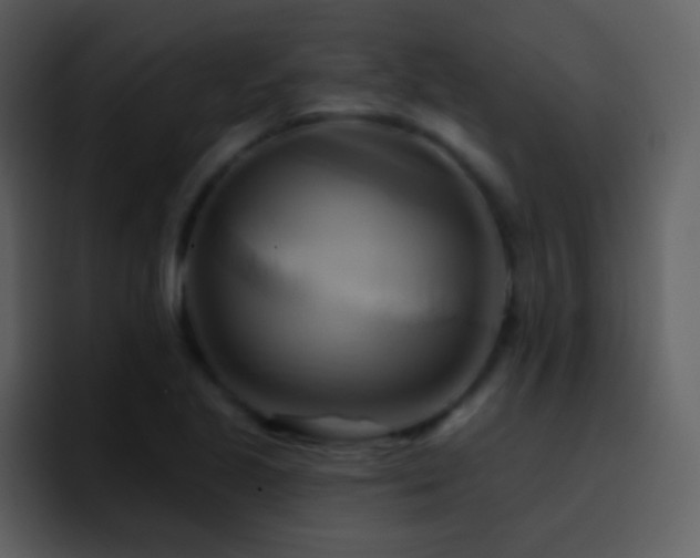 X0000095681221200801081222