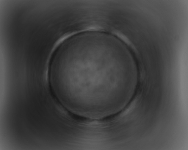 X0000095681222200801081222