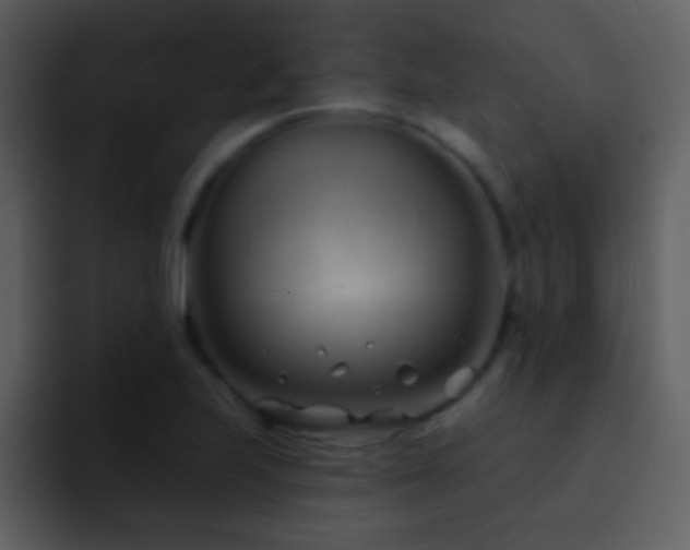 X0000095681223200801081222