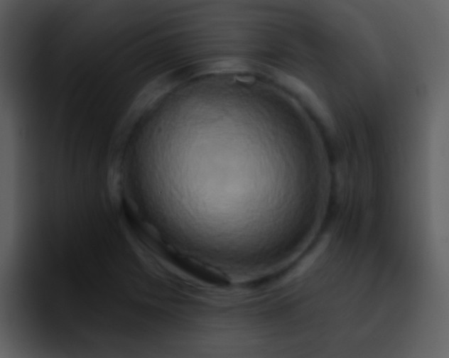 X0000095681225200801081222