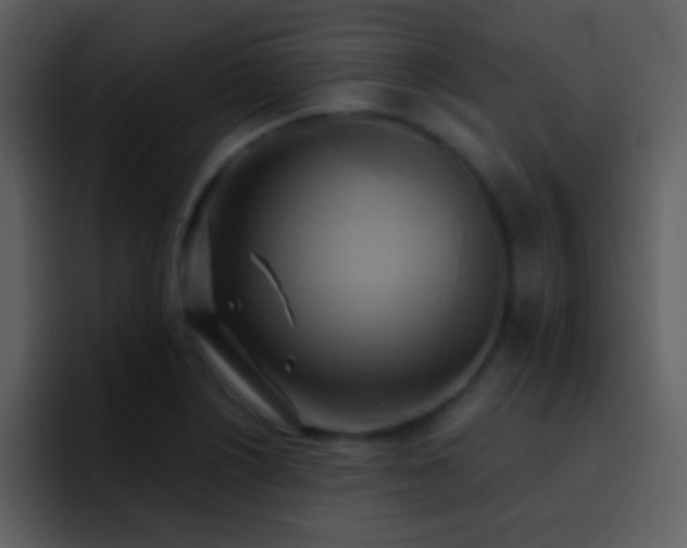 X0000095681226200801081222