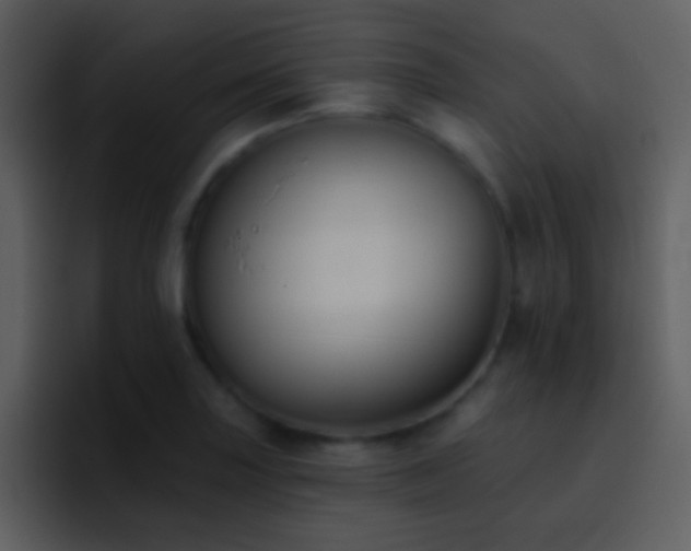 X0000095681227200801081222