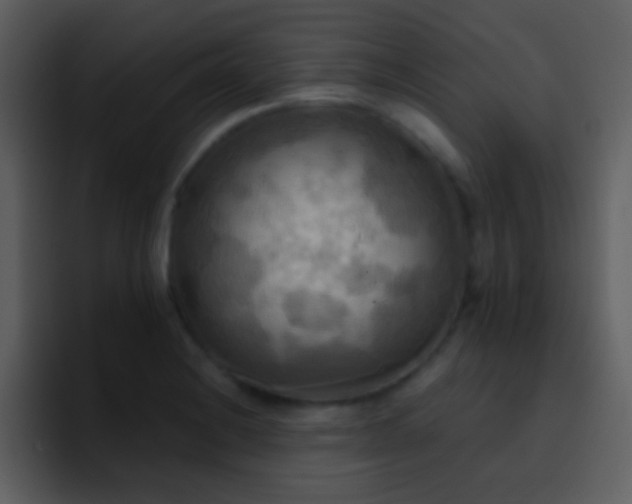X0000095681228200801081222