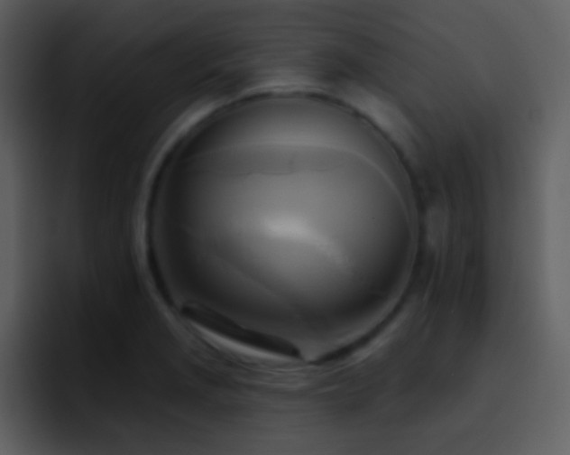 X0000095681229200801081222