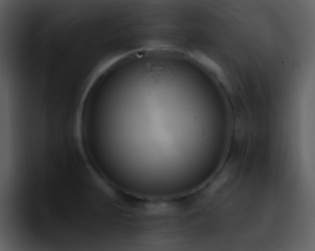 X0000095681231200801081222