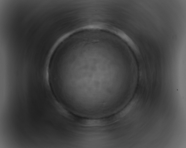 X0000095681232200801081222