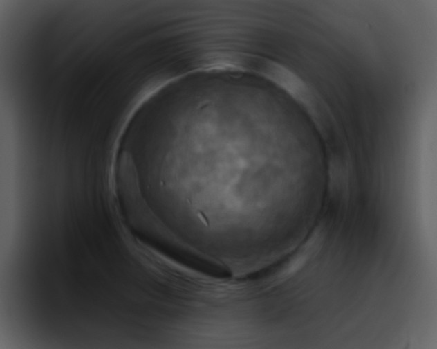 X0000095681234200801081222