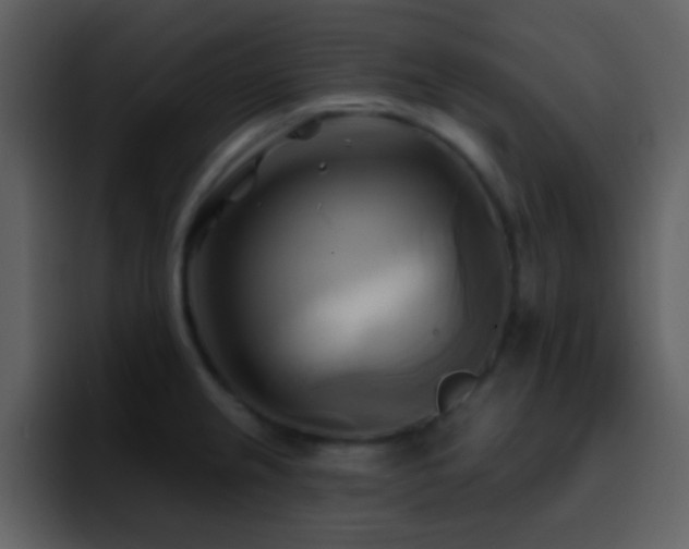 X0000095681237200801081222