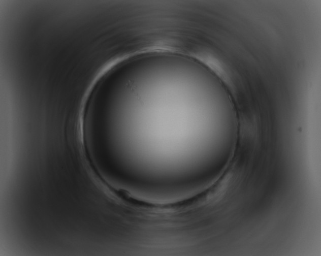 X0000095681238200801081222